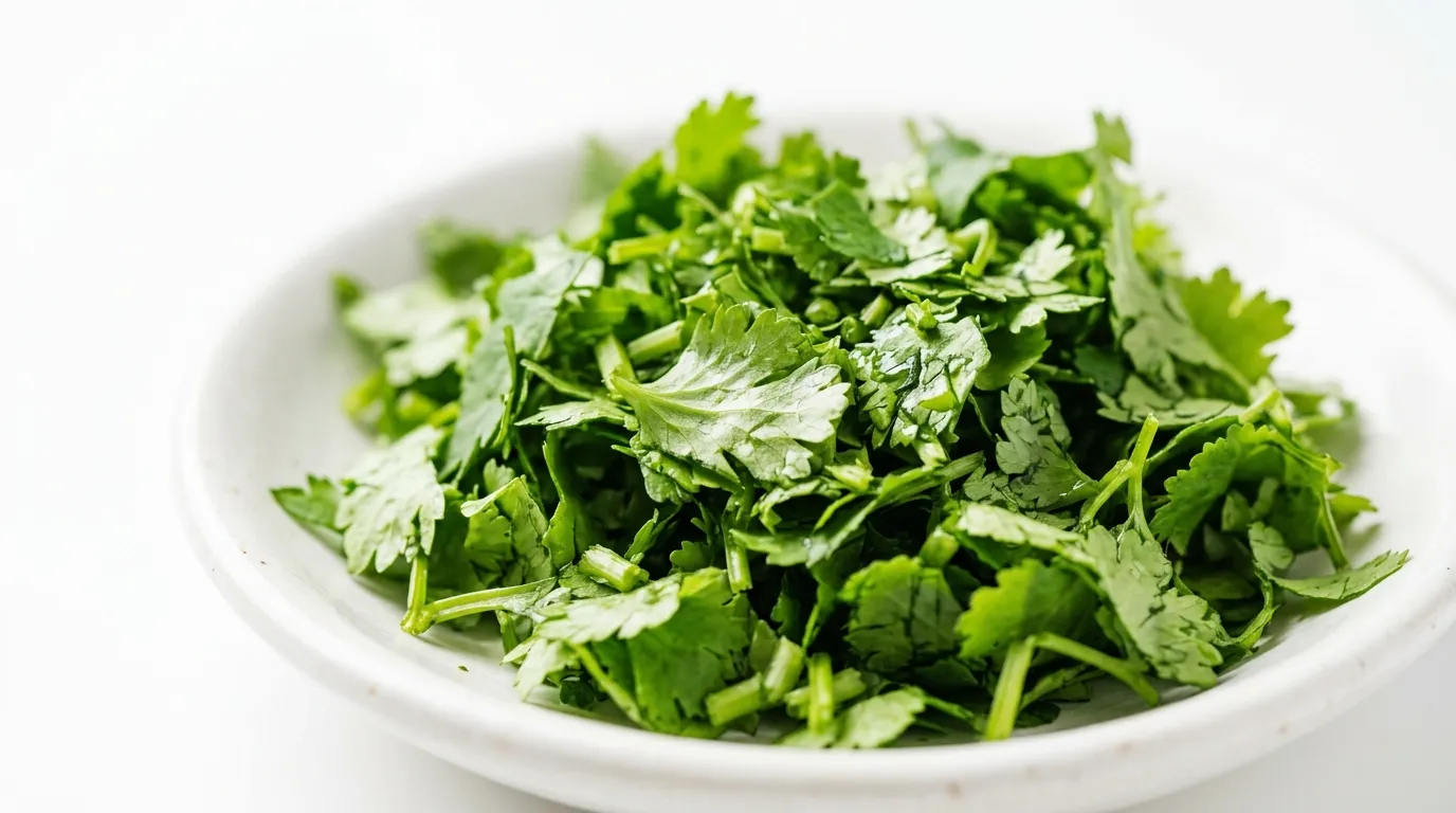 Cilantro Fresh